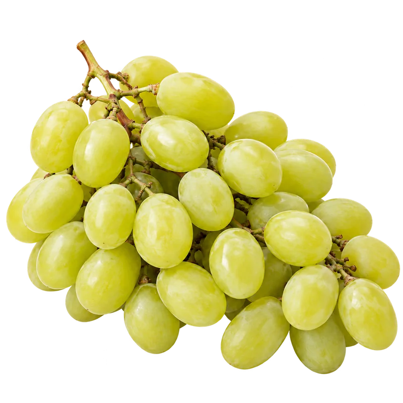 Grožđe italija