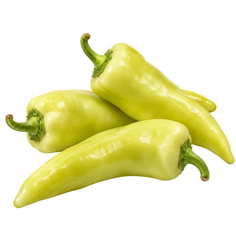 Paprika šilja